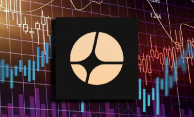 Дмитрий Пшенин лично участвовал в выводе на IPO, теперь выводит через ИП Стародумовой