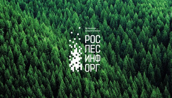 &laquo;Авиалесоохрана&raquo;, тверские арендаторы и &laquo;Детский мир&raquo;: хроника захвата &laquo;Рослесинфорга&raquo; тверской диаспорой