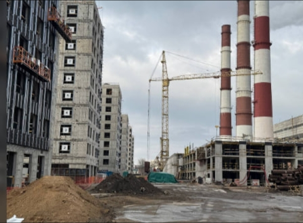 Прокурор убила жениха, потому что много знал