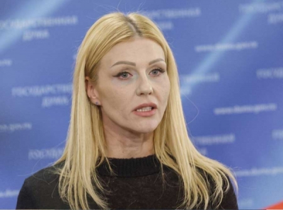 &laquo;Справедливая Россия&raquo; просит правоохраны проверить депутата Новикову и дроппера Нестерова