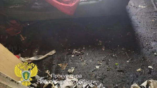 В Новосибирской области назвали причину гибели 12-летней девочки в пожаре