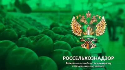 Сергей Муратов из ФГБУ &laquo;АПК НАЦРЫБА&raquo; закупает Voyah Free для инспекции камчатского лосося в Москве