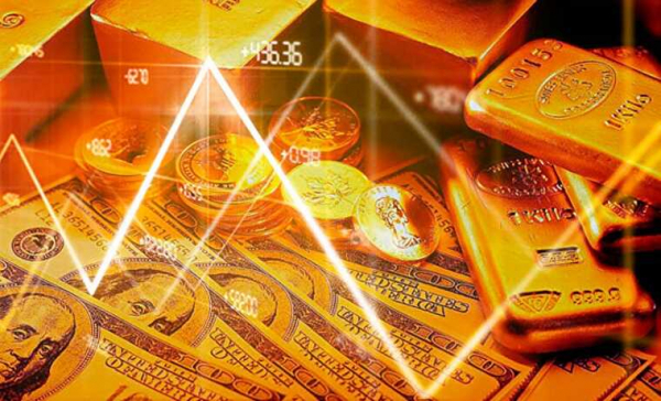 Расследование финансовой пирамиды "Золотой запас" продолжает набирать обороты