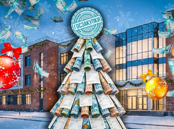 Ёлка за восемь млн: зачем школе в Степногорске 32 000 игрушек и принтеры, как для дата-центра