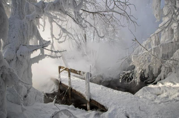 Телеграм Новосибирска за неделю: возможность отмены выборов, ЧС с кипятком и семь поликлиник «без глаза»