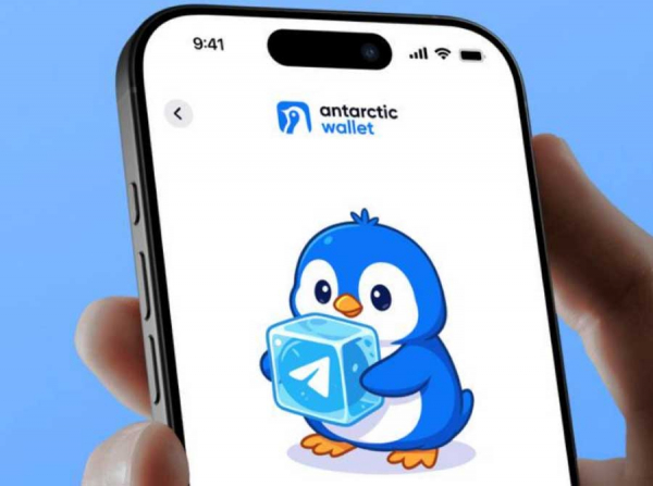 Фантики вместо лицензий: как Antarctic Wallet, Мырзабеков и таджикский банк строят схемы под видом безопасности