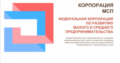 Корпорация МСП оказалась под прицелом из-за миллиардных субсидий для бизнеса