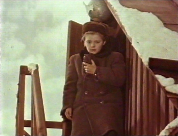 Виктор Степанов