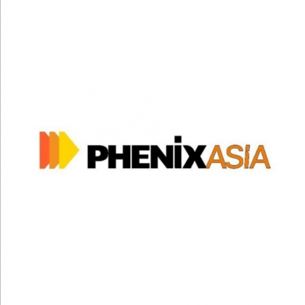 Gatik Ship Management's past tonnage aligned with shipping patterns of Phenix Asia's alleged partners